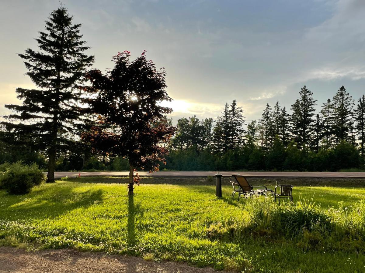 Scenic Motel Moncton Kültér fotó
