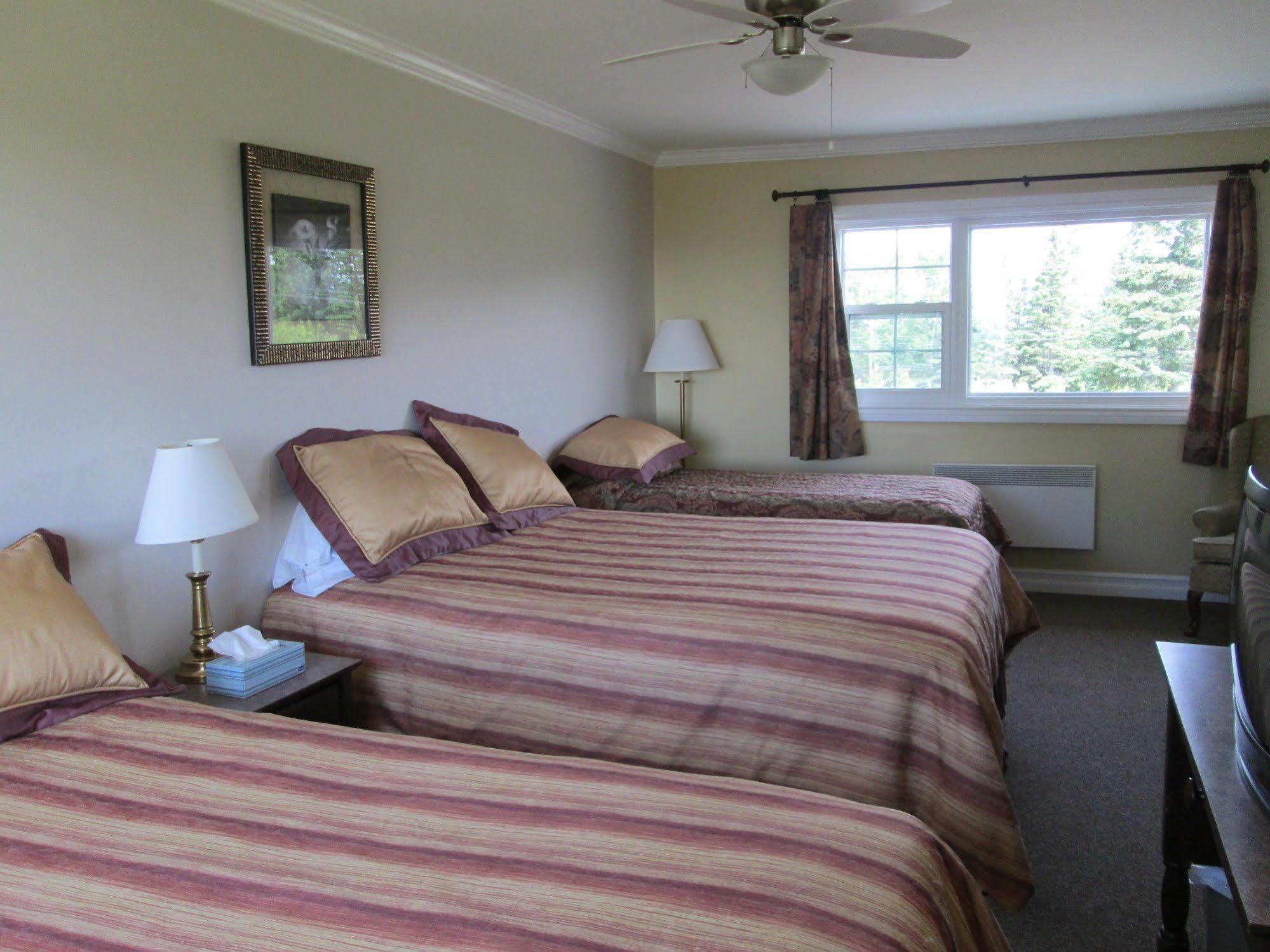 Scenic Motel Moncton Kültér fotó